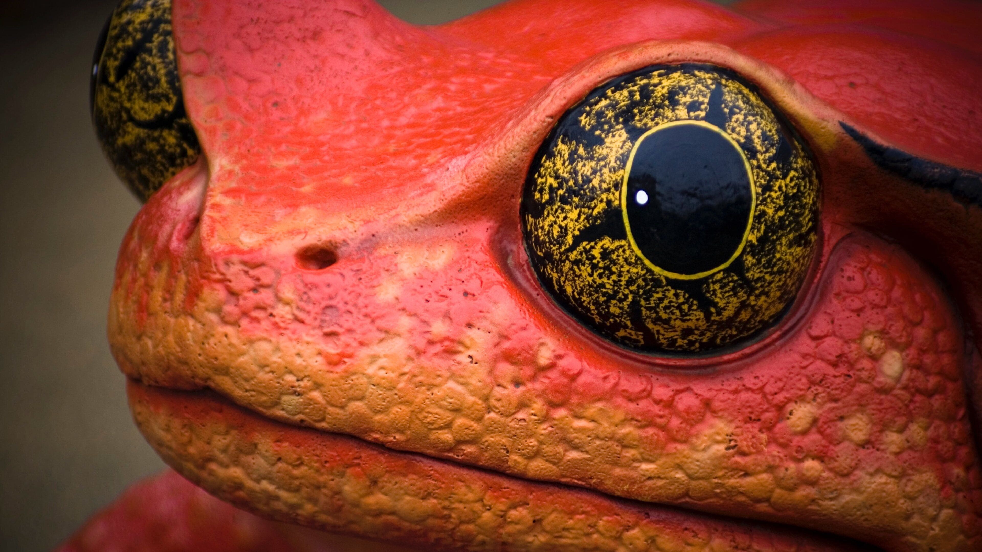 Oakland Zoo bevat dierentuindieren en dieren