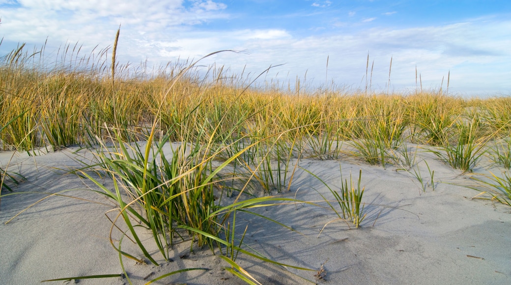 Corson's Inlet delstatspark