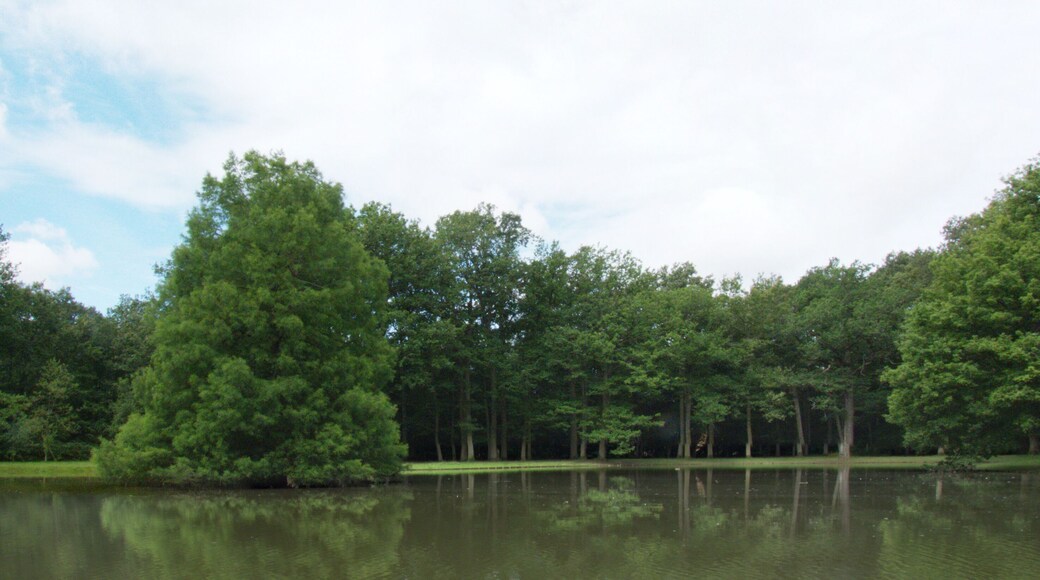 Lagoa de Gretz-Armainvilliers cheia de agua