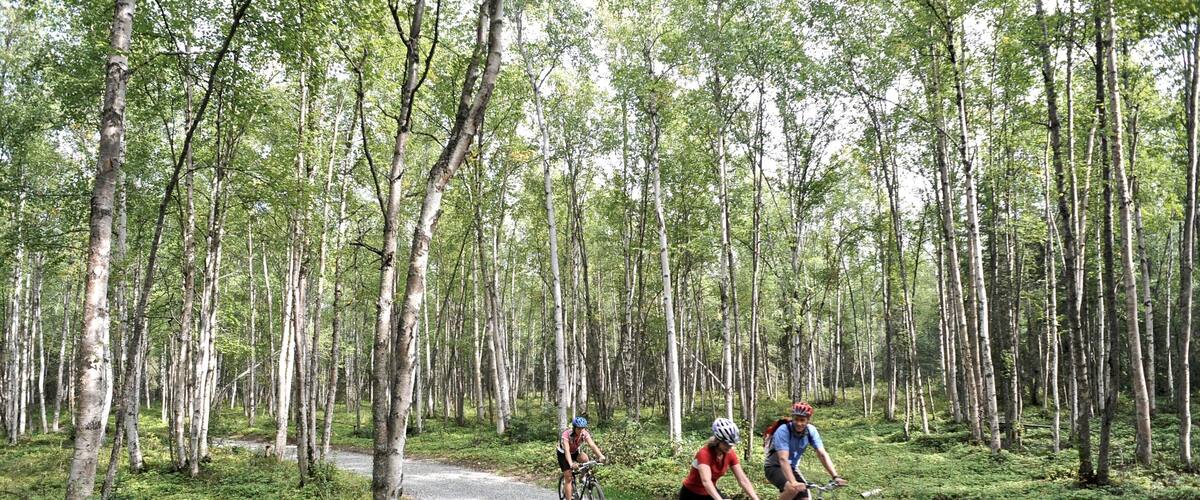 Far North Bicentennial Park