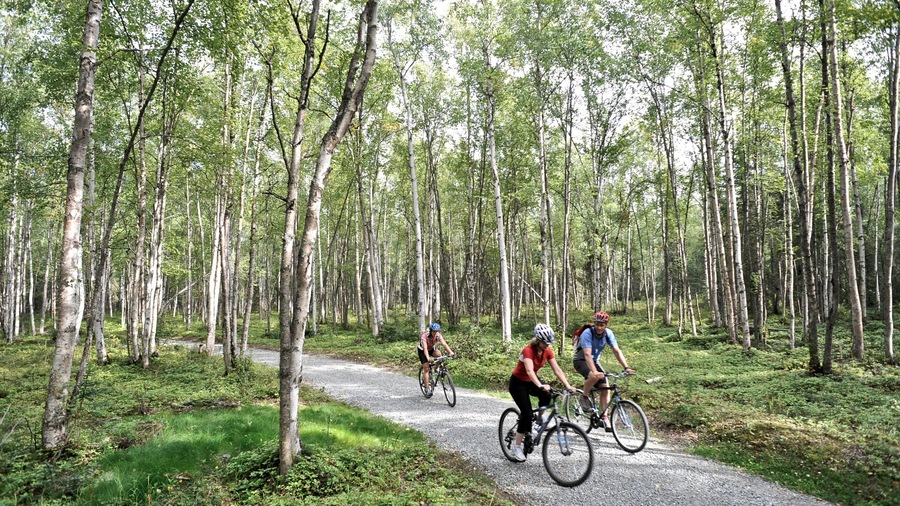 Far North Bicentennial Park