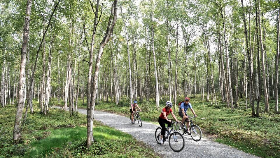 Far North Bicentennial Park