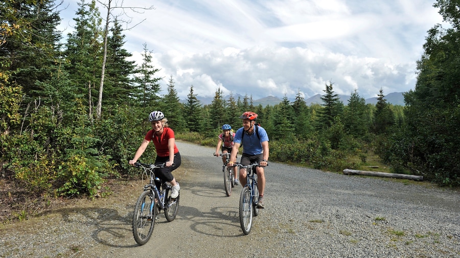 Far North Bicentennial Park featuring forests and mountain biking as well as a small group of people