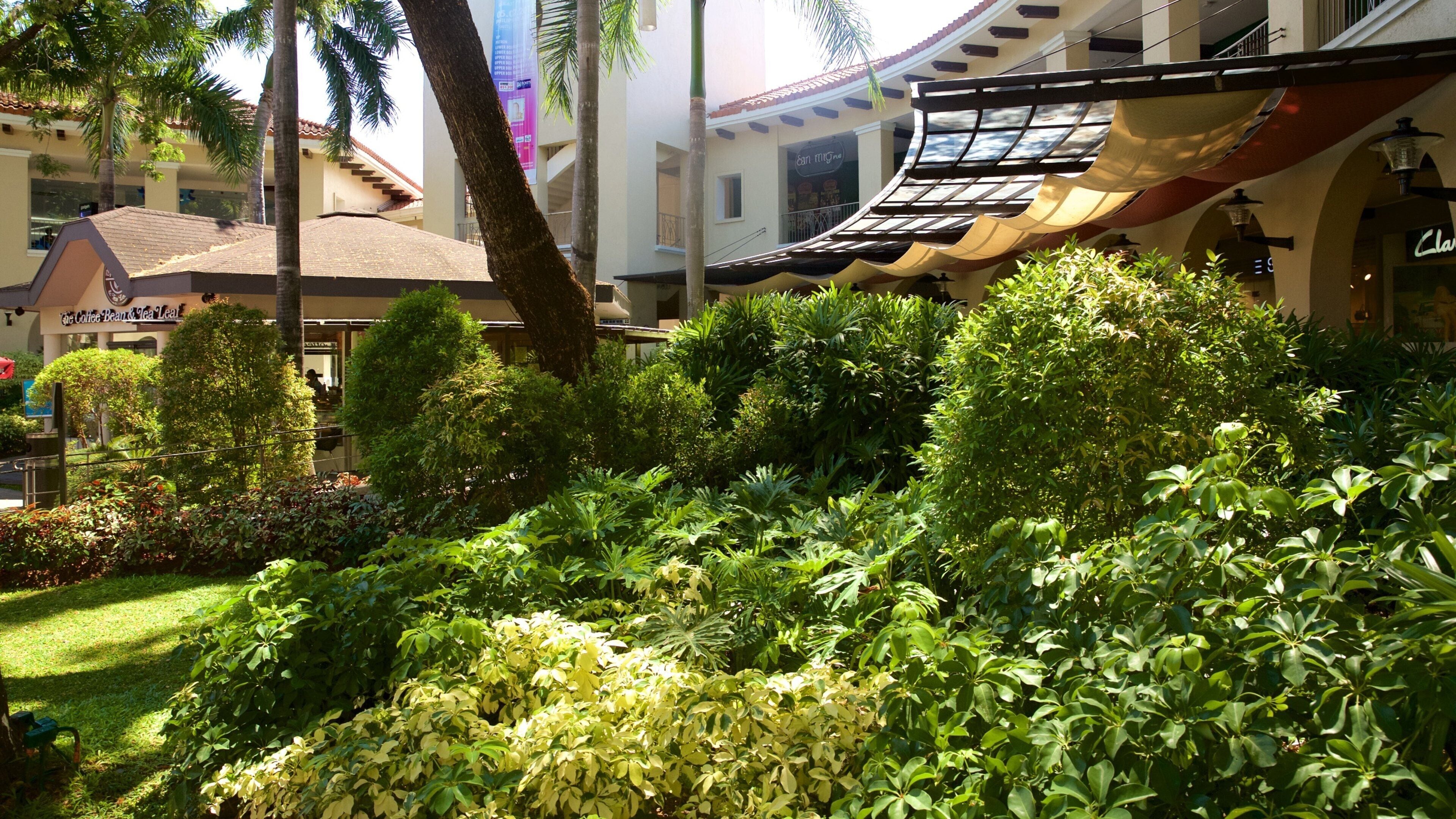 Alabang showing a garden