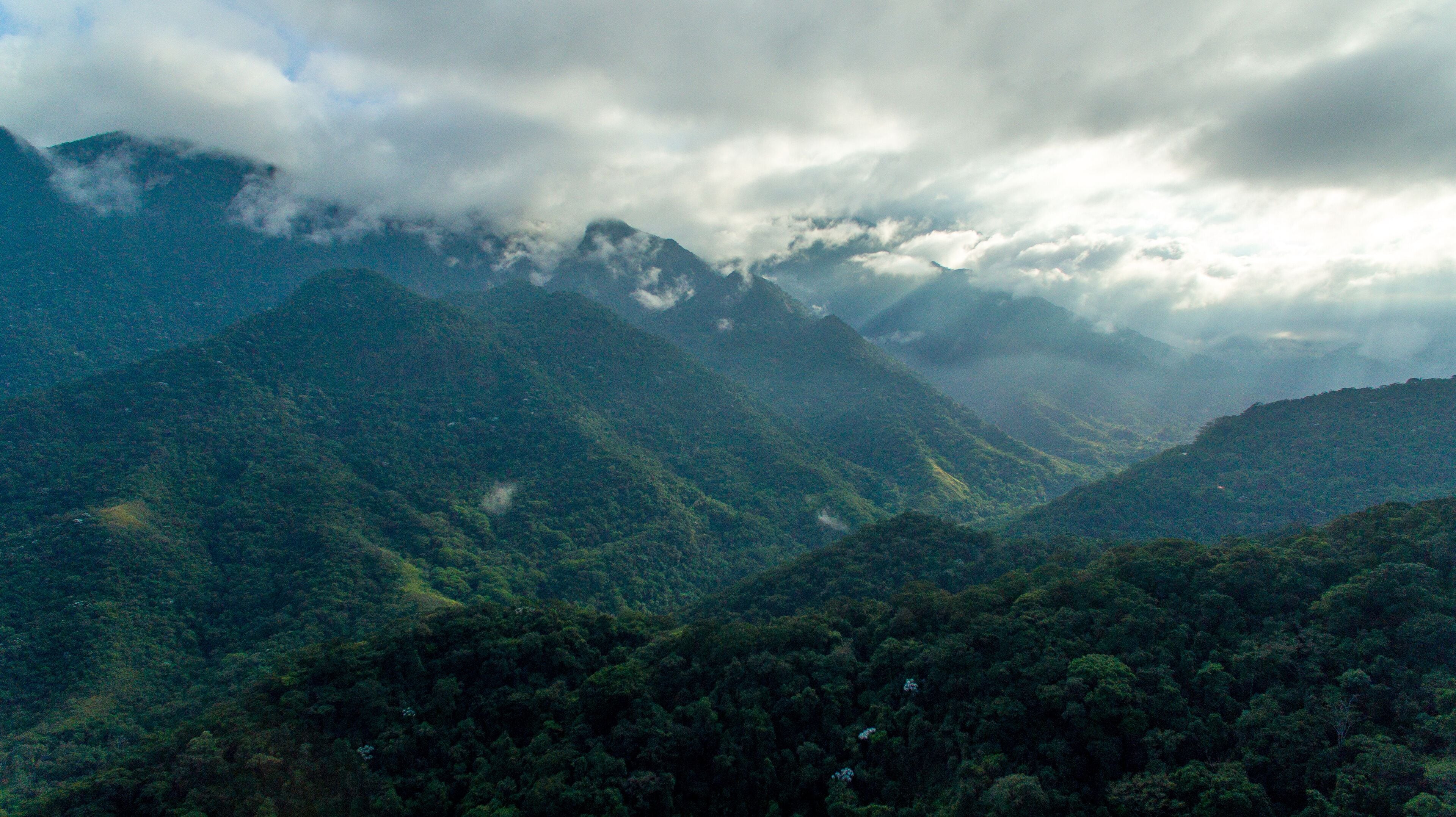 Sunrise on the exuberant mountains of the Atlantic Forest within the protected area of Três Picos State Park, in Cachoeira de Macacu, Rio de Janeiro