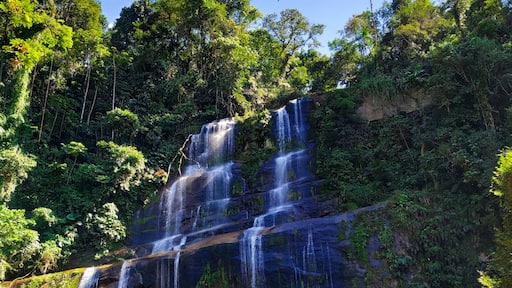 This amazing place is the "Cachoeira da Jornada" in Regua, a Forest reserve in Cachoeiras de Macacu/RJ, a beautiful place to visit with your family!
#nature #waterfall #brasil #travel #florest #tree