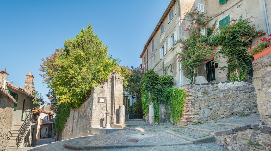 Anguillara Sabazia, Rome Province, Lazio (Italy)