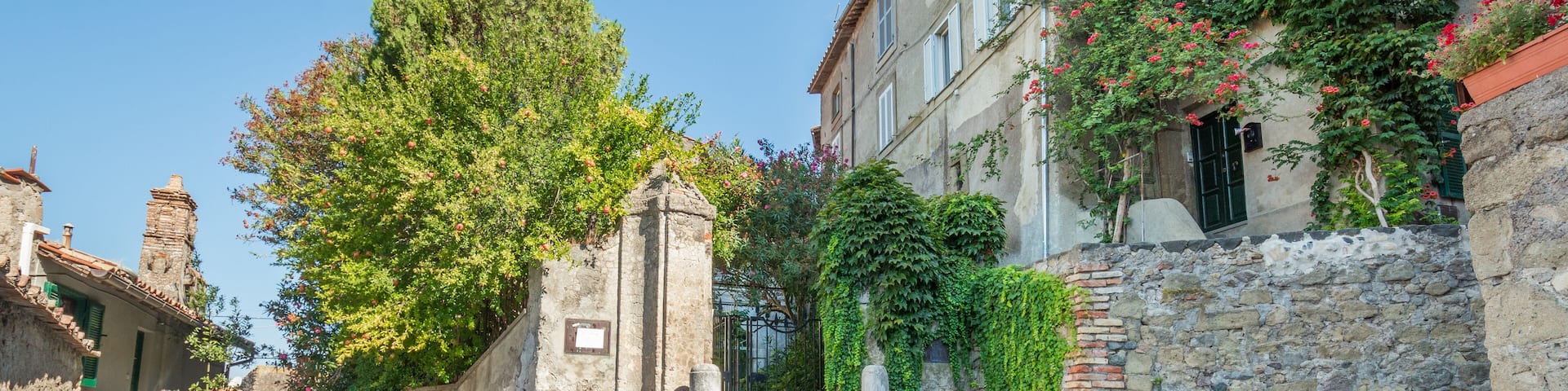 Anguillara Sabazia, Rome Province, Lazio (Italy)