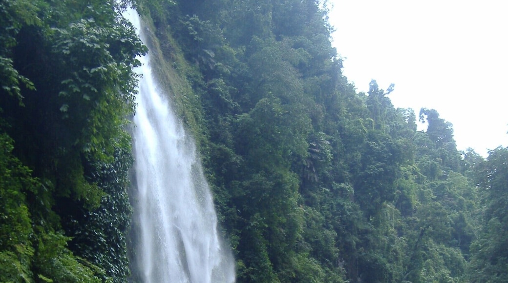 To enjoy the Pagsanjan falls you also get to experience 'shooting the rapids' a canoe boat ride through the rapids (and along some nice scenic river, but I mostly remember the rapids, especially where the boatmen got out and carried the boat with me in it over a particularly rocky section.)
There are three falls on the river, but after heavy rains the river is too swollen to reach the third fall. in fact on my first day the river tours weren't running at all due to rainfall, so bear in mind when visiting the are you might want to book a few days so you don't miss out.
Most hotel resorts will be able to arrange a shooting the rapids tour with local boatmen.
On arrival at the falls you will be expected to buy them cans of coke and packets of crisps, so take some money even if you don't want anything.
#NationalPark #Waterfall #Waterlust