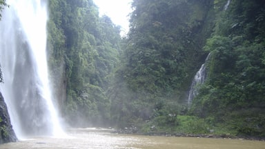 Visiting Pagsanjan Falls is quite an experience as they are only accessible by canoe through the river rapids.
Most hotels can organise a river tour for you with local and experienced boatmen to navigate the rapids.
#NationalPark
#Waterlust