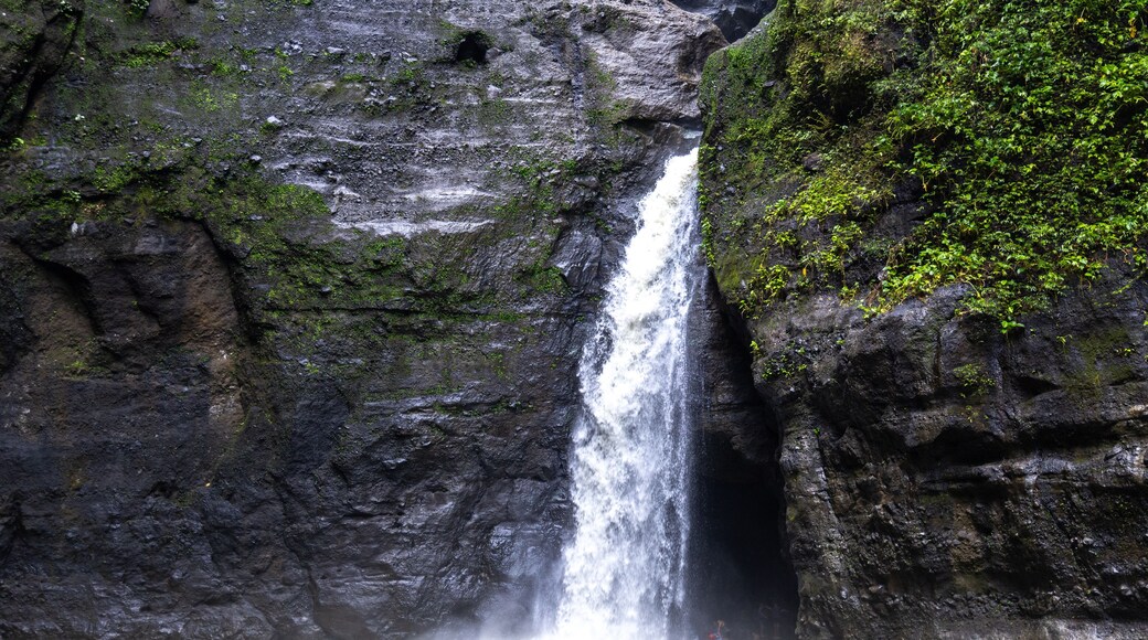Pagsanjan Falls, also known as Cavinti Falls, is one of the most famous waterfalls in the Philippines.
