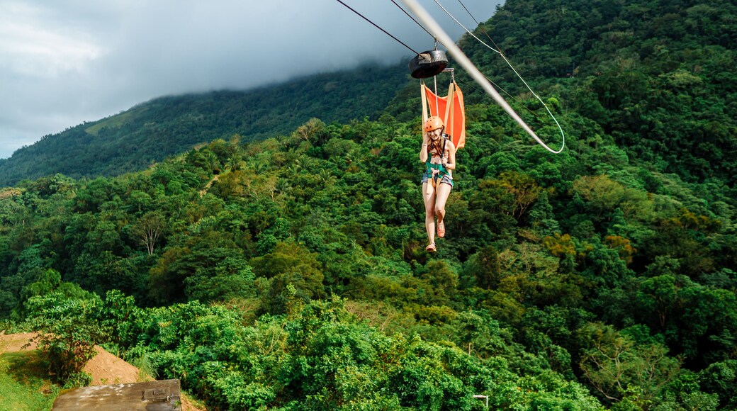 Apr 23, 2017 Adult woman, Zip line adventure at Mountain lake resort in Cavinti Philippines