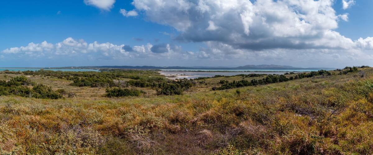 A coastal landscape with a dirt path, dense vegetation, and a distant view of the ocean under a partly cloudy sky.