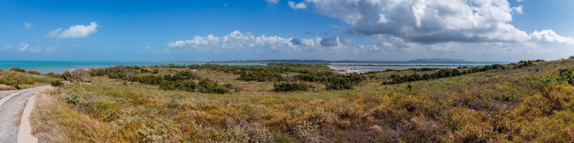 A coastal landscape with a dirt path, dense vegetation, and a distant view of the ocean under a partly cloudy sky.