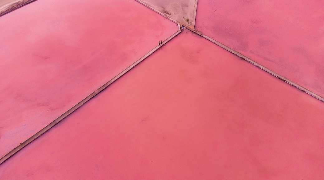 Salinas de cabo rojo - Puerto rico