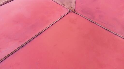 Salinas de cabo rojo - Puerto rico