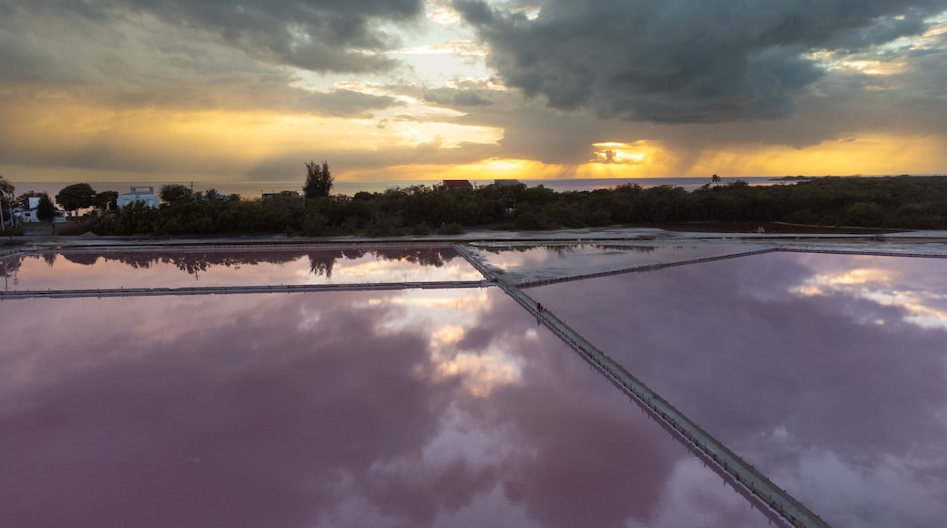 Salinas de cabo rojo - Puerto rico