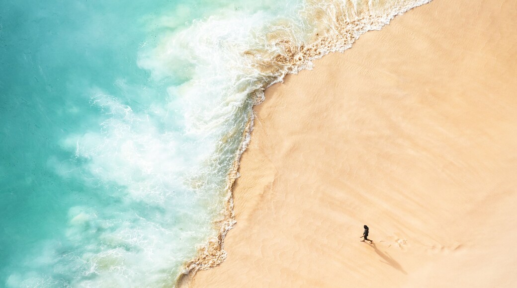 View from above, stunning aerial view of a person walking on a beautiful beach bathed by a turquoise sea during sunset. Kelingking beach, Nusa Penida, Indonesia.