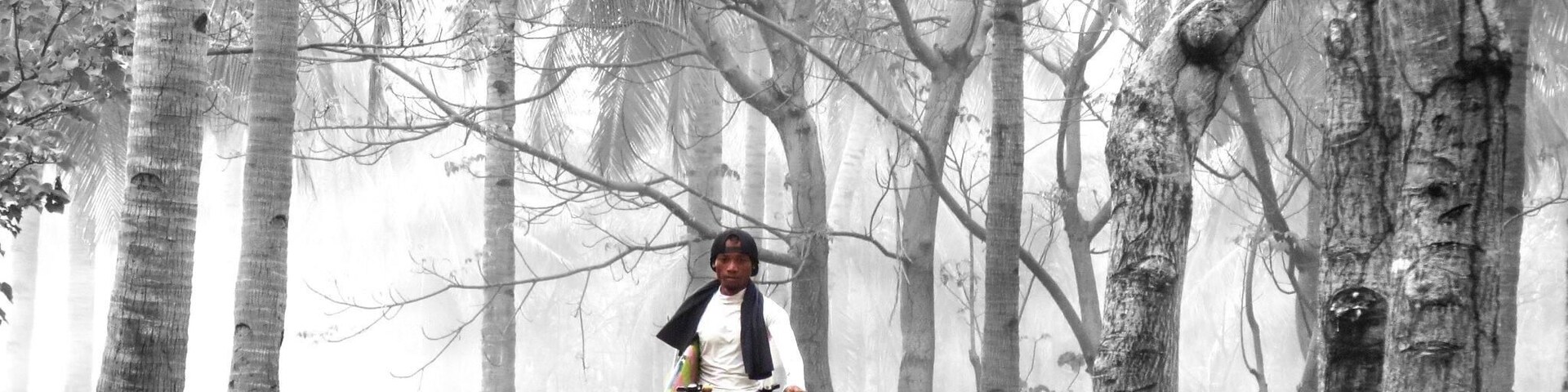 A person riding a bicycle through a forested area with tall trees and a misty atmosphere.