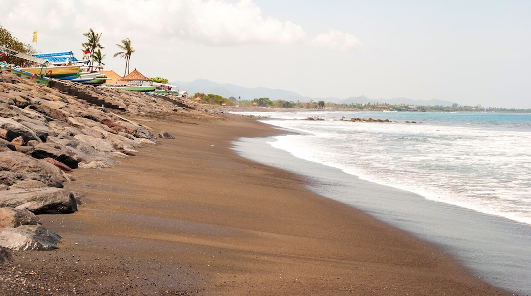 Lovina beach with typical indonesian boats, Bali