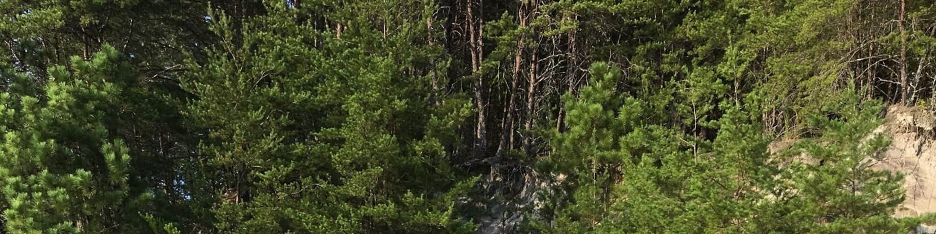 Worlds shortest tunnel ha