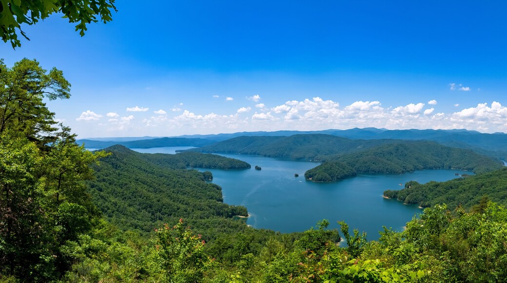 Lake Jocassee viewed from Jumping Off Rock, Jocassee Gorges Wilderness Area, South Carolina
