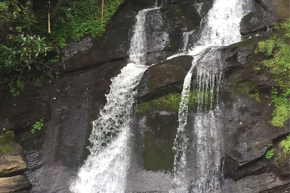 A waterfall cascading over dark rocks into a body of water, surrounded by lush green foliage.