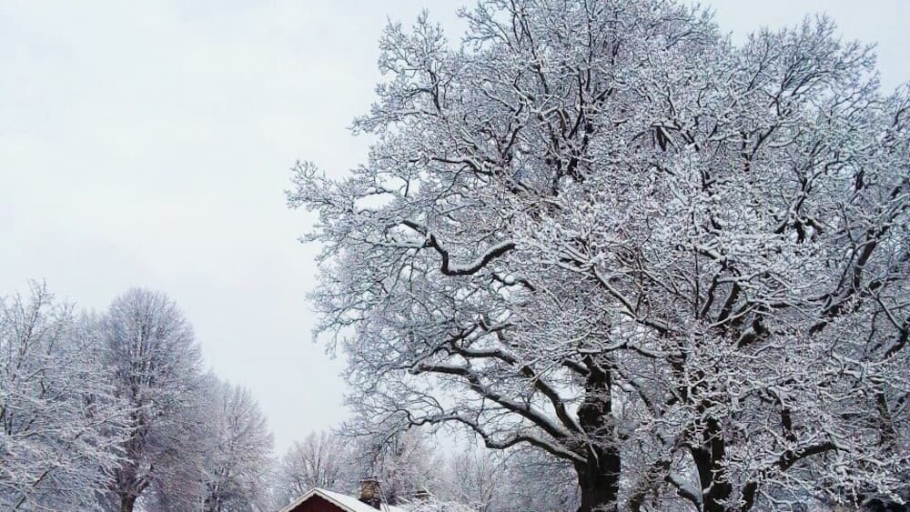 The town of Gustavsberg, a 20 minute drive from Stockholm, is a historical industry town with a population of 11,333. The town dates back to 1640. There are still several old houses that were used by the workers at the famous porslain industry. Today these houses and cottages have been restored and sold to private residents. But the houses are still a reminder of a town that used to be a flourishing industry town.