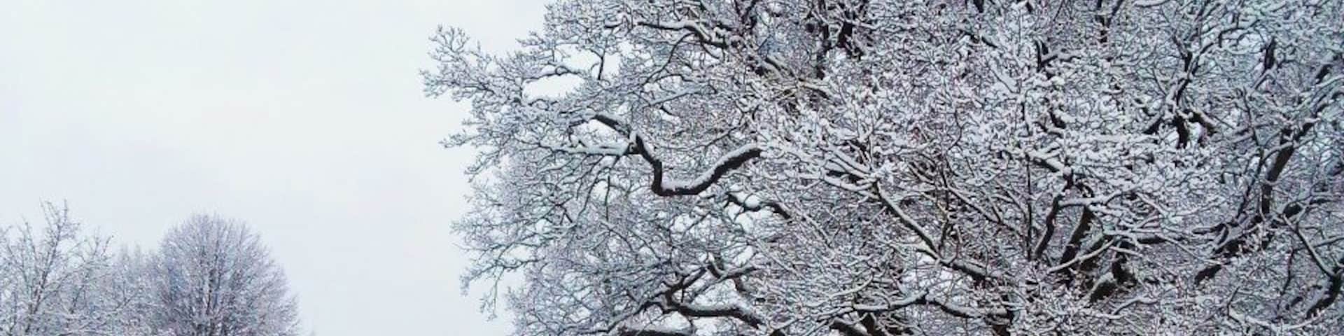 The town of Gustavsberg, a 20 minute drive from Stockholm, is a historical industry town with a population of 11,333. The town dates back to 1640. There are still several old houses that were used by the workers at the famous porslain industry. Today these houses and cottages have been restored and sold to private residents. But the houses are still a reminder of a town that used to be a flourishing industry town.