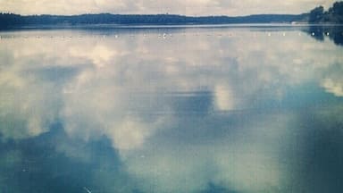 Un lago tranquilo con un reflejo claro del cielo y las nubes, rodeado por una orilla boscosa.