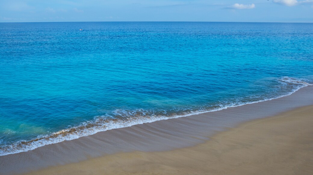 Una playa con agua turquesa cristalina y una orilla arenosa.