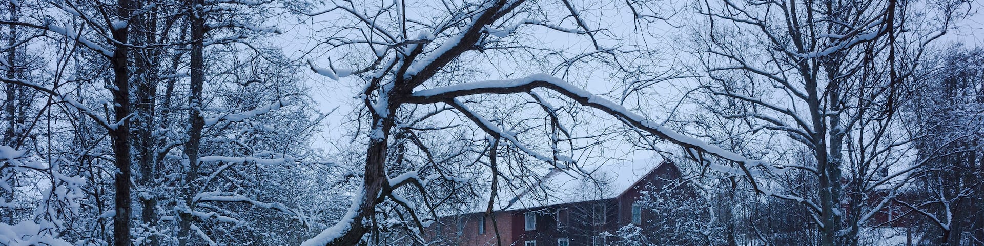 White winter in Sweden, Frozen river in Sörkvarnsforsen Nature preserve in Hallstahammar in overcast weather, short dark winter day
