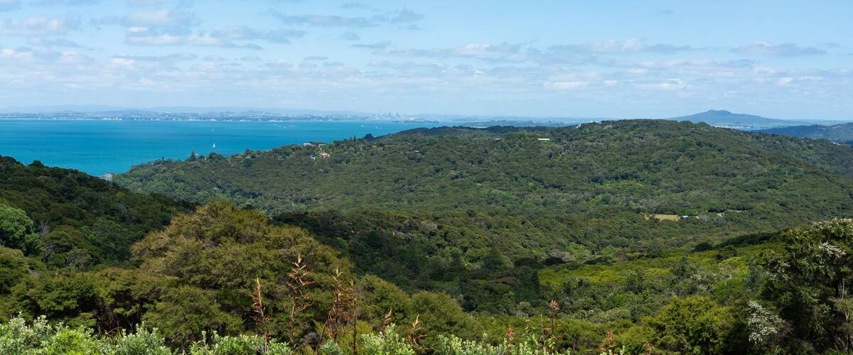 Panoramic view of Waiheke Island near Auckland, New Zealand