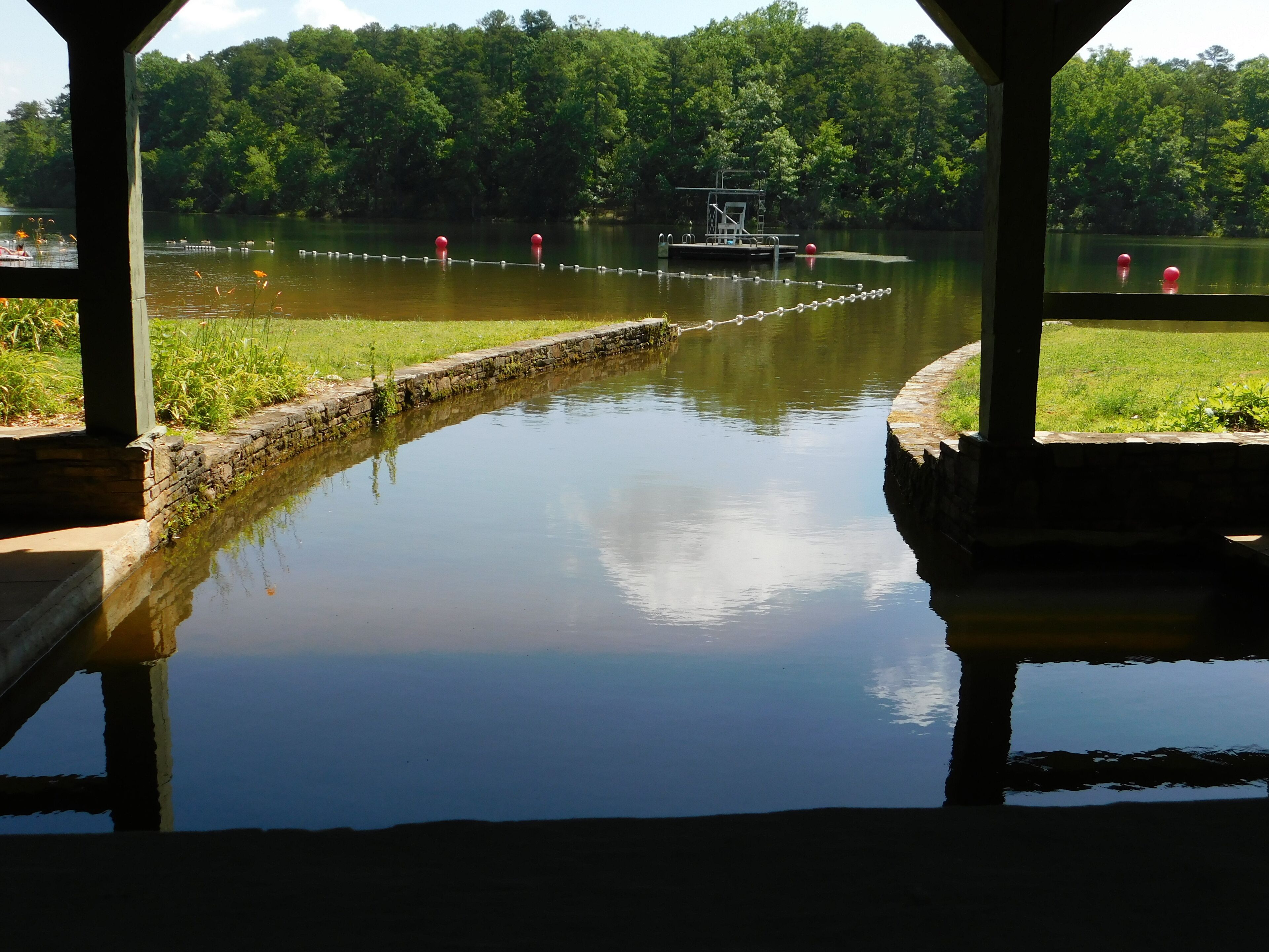 Floating dock with diving board.