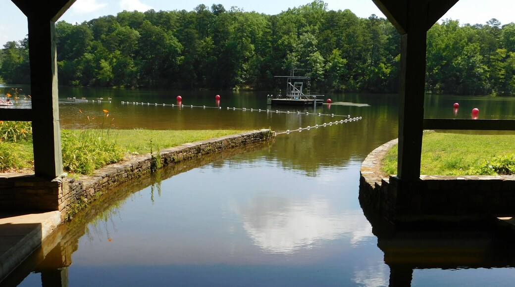 Floating dock with diving board.