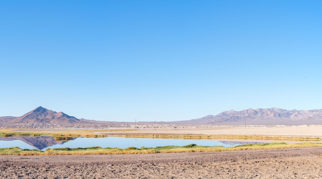 Tecopa Mountain, Panoramic View, Desert Oasis, Reflection. Death Valley Natl Park, Flawless Water Reflection