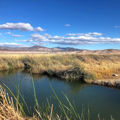 Such a beautiful spot to enjoy nature. The natural hot spring is very peaceful out here. Worth the trip