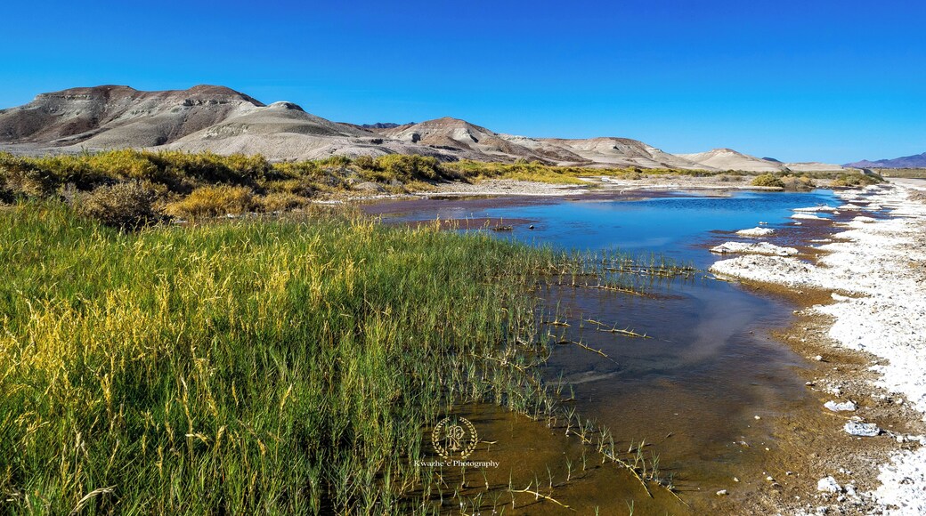 #DeathValleyRd #dragonfly #nature #road #tripping #hiking #airfresh #photography