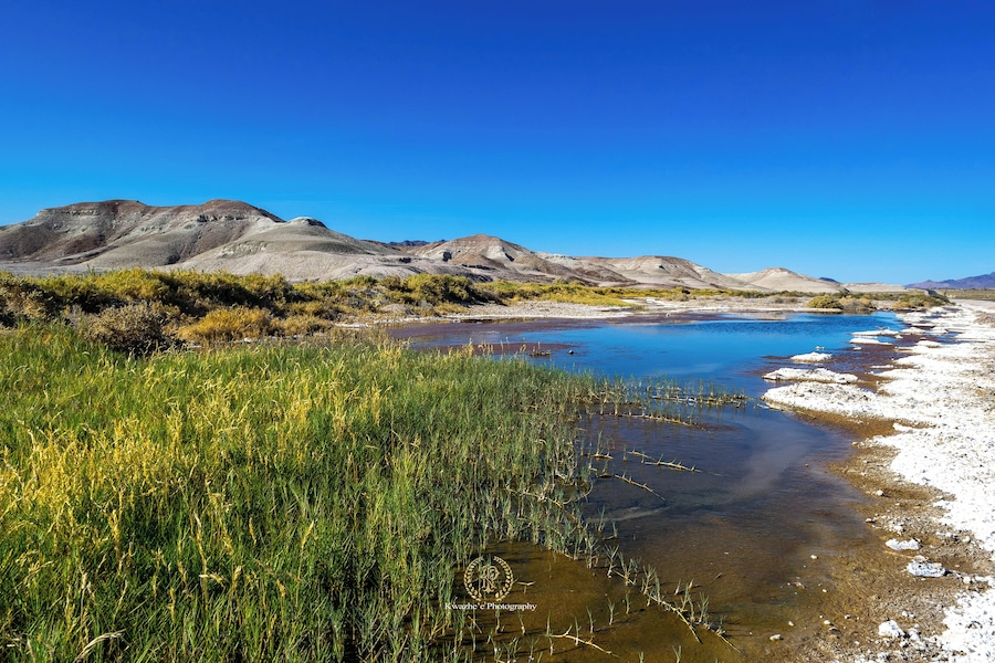 #DeathValleyRd #dragonfly #nature #road #tripping #hiking #airfresh #photography