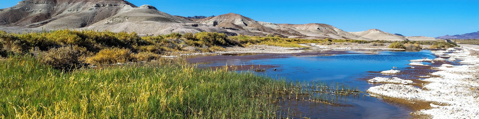 #DeathValleyRd #dragonfly #nature #road #tripping #hiking #airfresh #photography