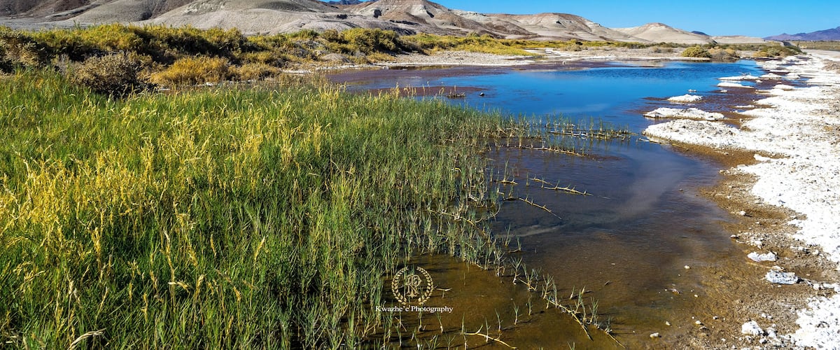 #DeathValleyRd #dragonfly #nature #road #tripping #hiking #airfresh #photography