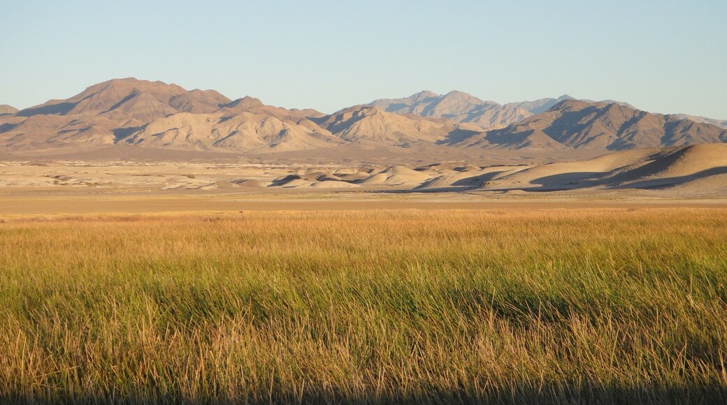 Surrounding Tecopa area.