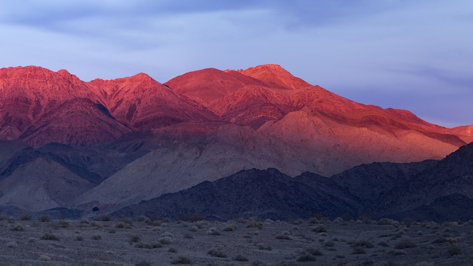 A desert landscape with red-hued mountains and sparse vegetation.