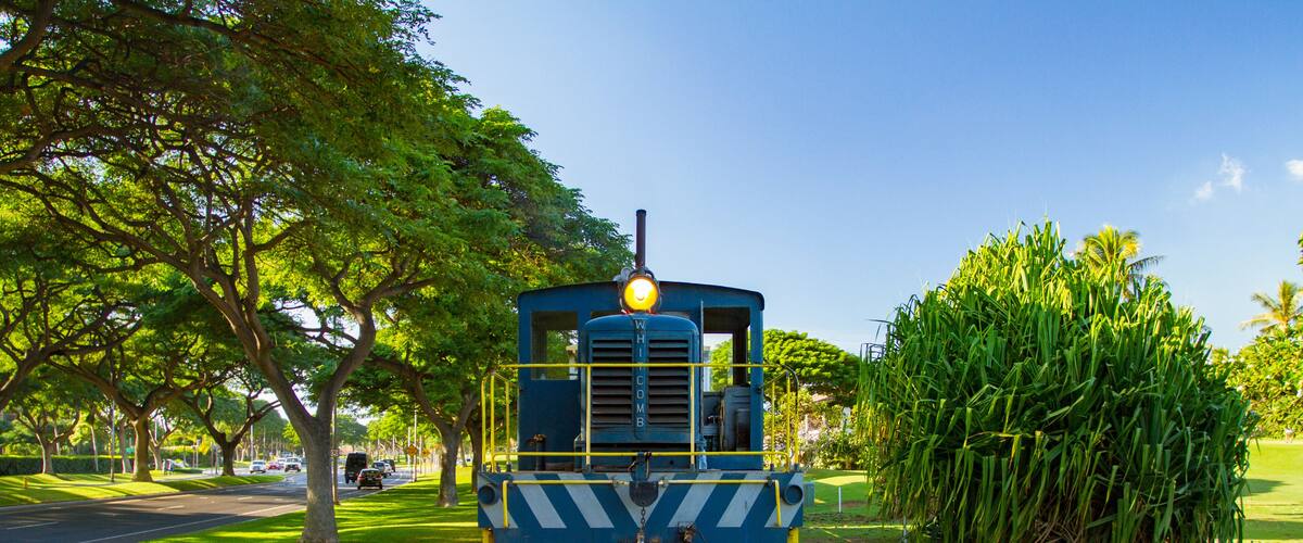 Narrow Gauge Diesel Locomotive in Hawaii