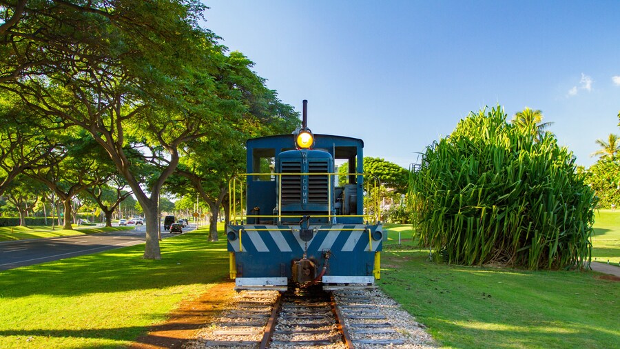 Narrow Gauge Diesel Locomotive in Hawaii
