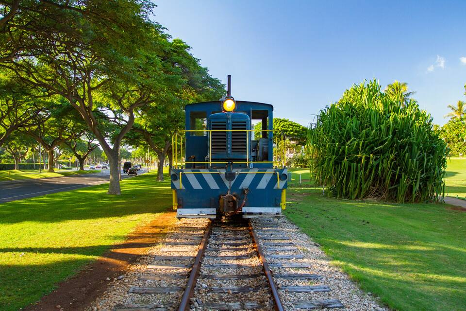 A vintage train engine on tracks surrounded by lush greenery and palm trees.
