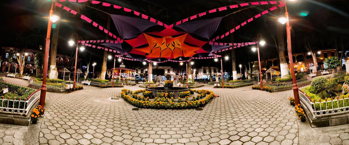 A plaza with a central fountain, surrounded by flower beds and palm trees.