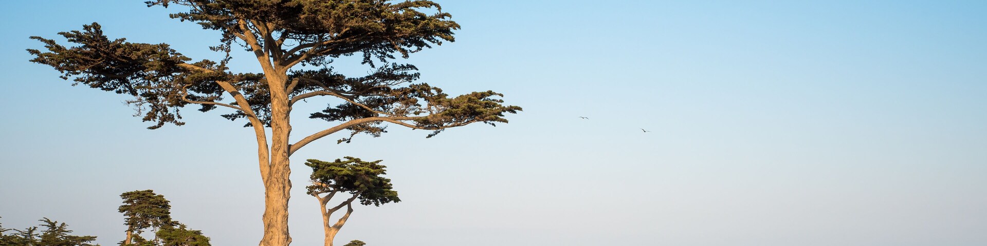 Mark Abbott Memorial Lighthouse in Santa Cruz California