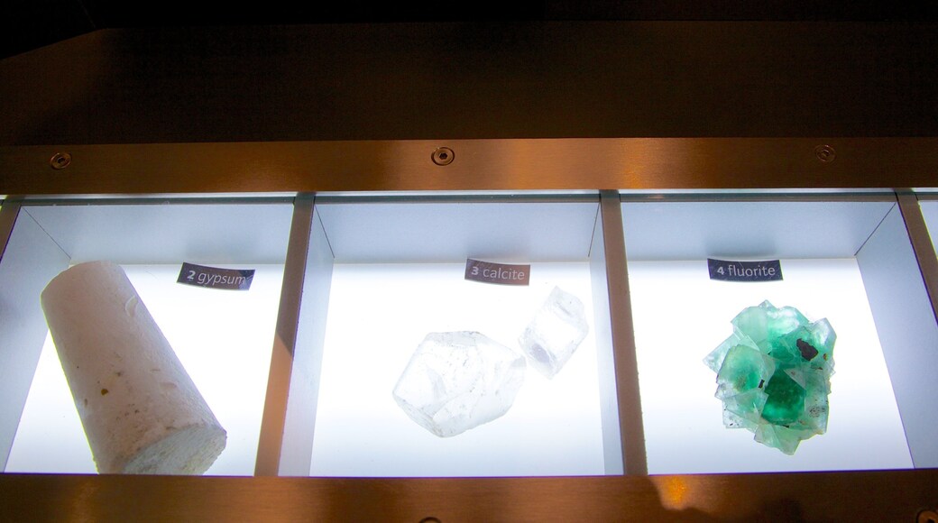 Musée du Diamant d\'Amsterdam montrant vues intérieures