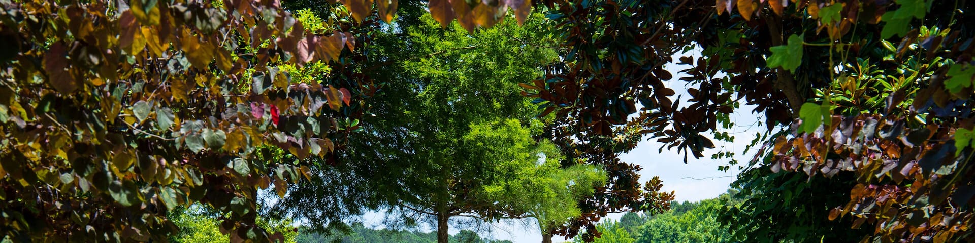a smooth footpath with a brown wooden hand rail in the park surrounded by a water fountain and lush green trees, grass and plants with blue sky at Logan Farm Park in Acworth Georgia USA